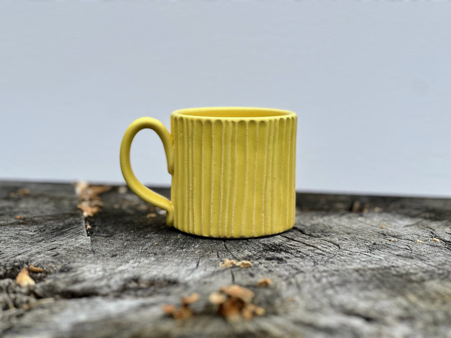 Birch Grove Mug