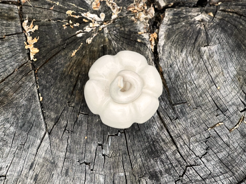 small ceramic pumpkin sitting on a tree stump top view